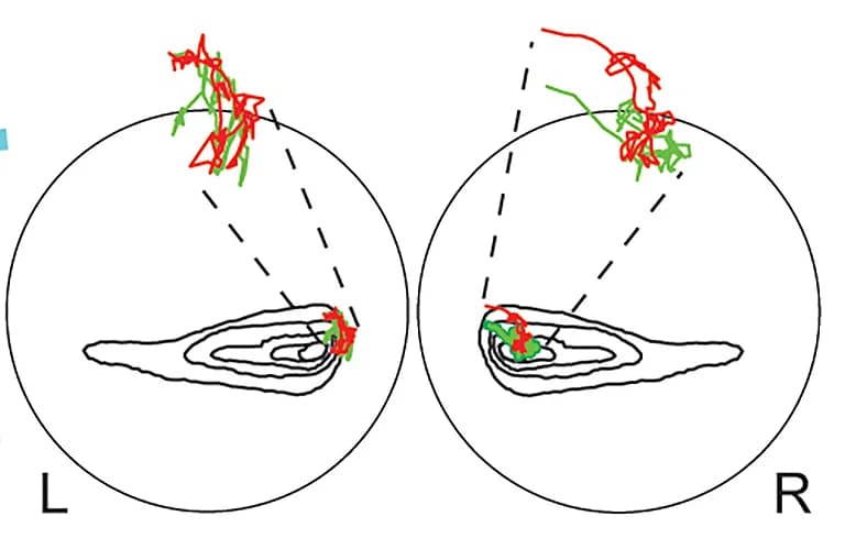 Open access visualization of Line Plot, Density Plot, Target Path, Eye Views, Straight Trajectory