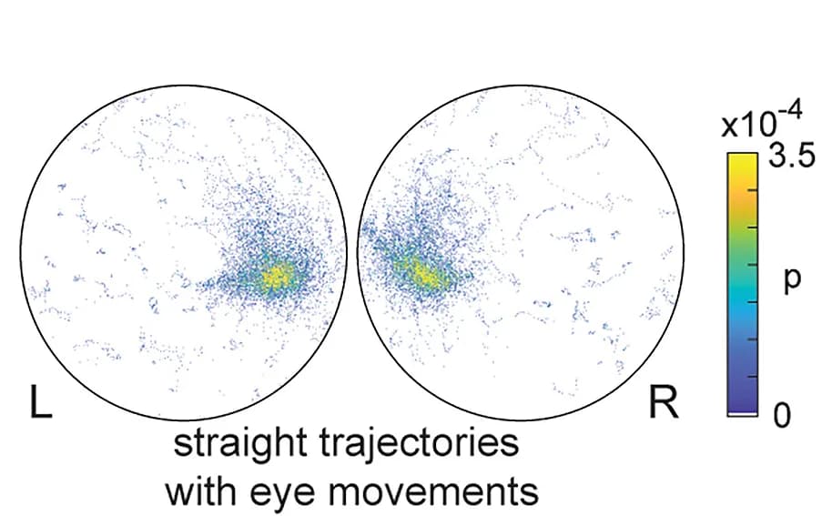 Open access visualization of Scatter Plot, Heatmap, Probability Maps, Target Position, Eye Views