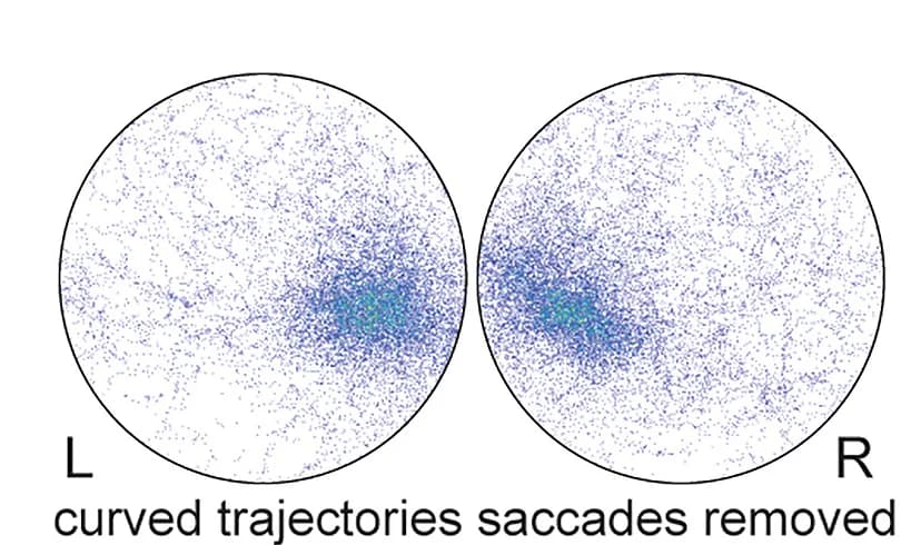 Open access visualization of Scatter Plot, Density Plot, Probability Maps, Curved Pursuit Trajectories, Saccades
