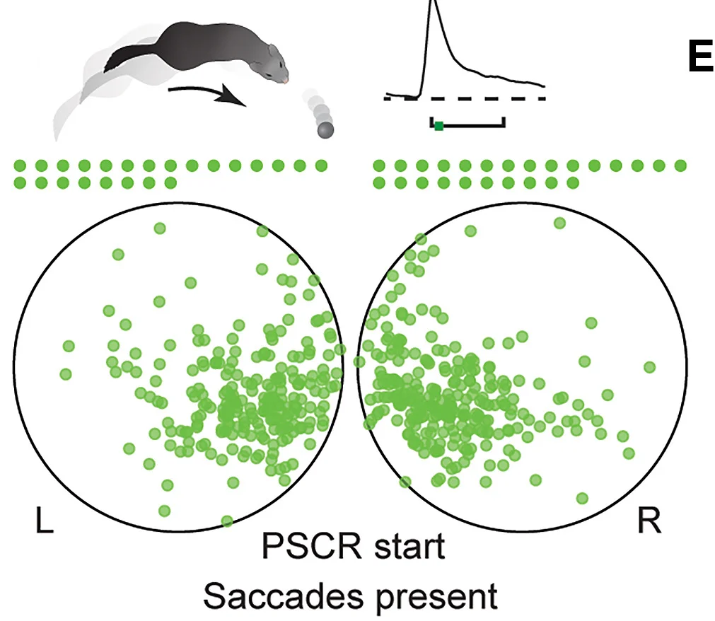 Open access visualization of Scatter Plot, Line Plot, Illustration, Focus of Expansion, PSCR