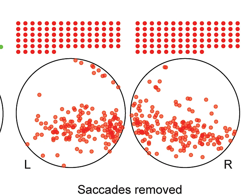 Open access visualization of Scatter Plot, Focus of Expansion, PSCR, Saccades, Eye Views