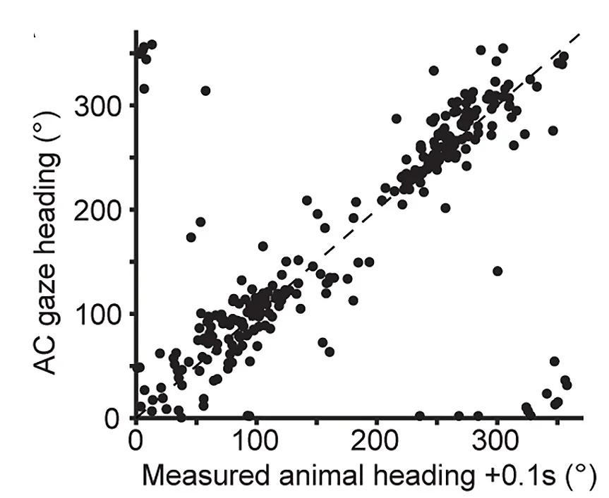 Open access visualization of Scatter Plot, Regression Plot, Scatterplot, Animal Heading, AC Gaze Heading