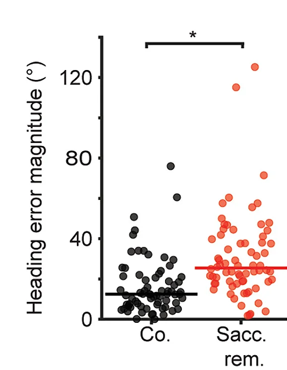 Open access visualization of Scatter Plot, Scatterplot, Optic Flow, Measured Heading, Heading Error