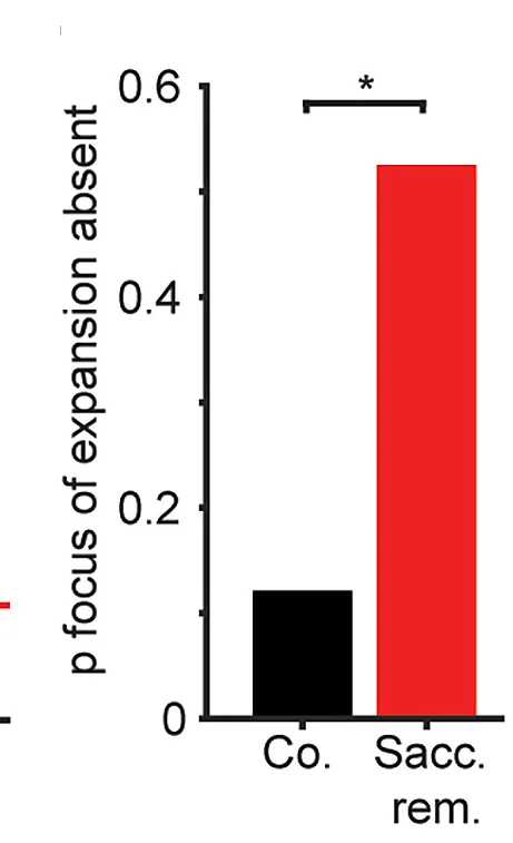 Open access visualization of Bar Plot, Bar Graph, Probability, Center of Expansion, Saccade