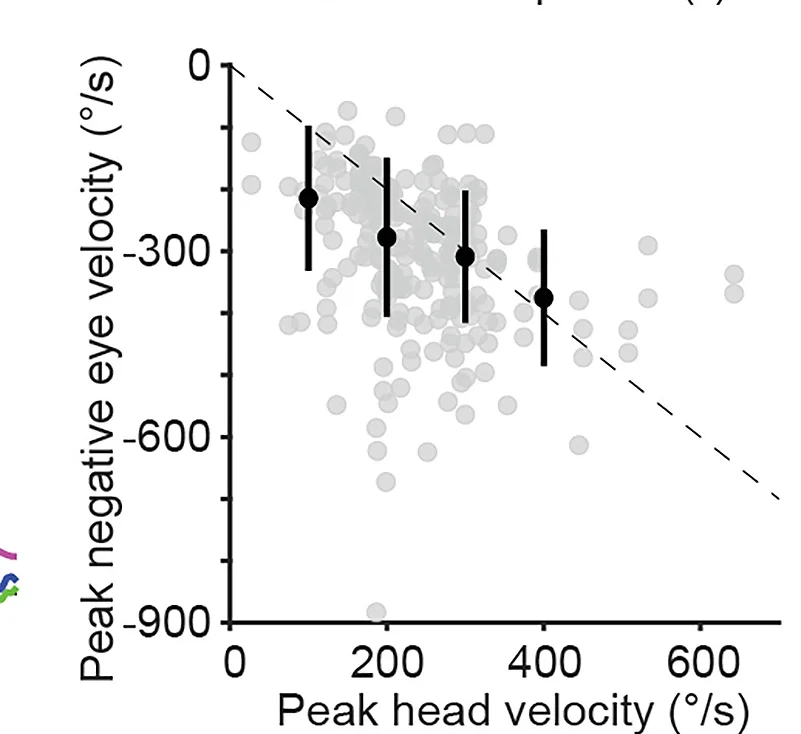 Open access visualization of Scatter Plot, Regression Plot, Error Bars, Saccades, Head Rotation Velocity