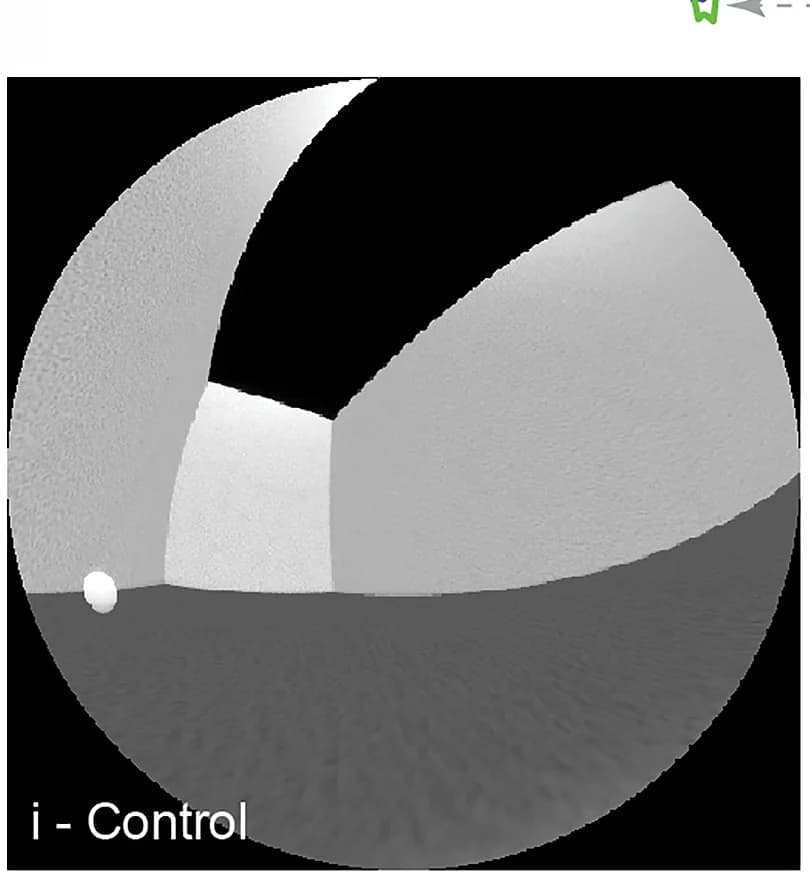 Open access visualization of Photo, Eye View, Motion Blur, Information Content
