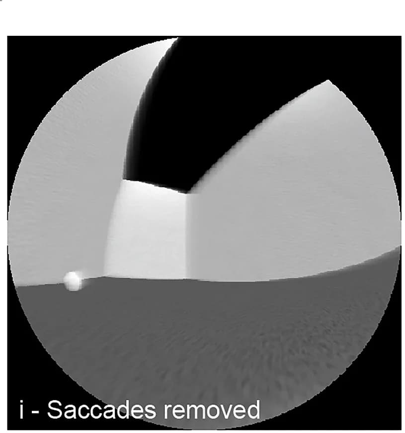 Open access visualization of Photo, Eye View, Saccades, Motion Blur, Information Content