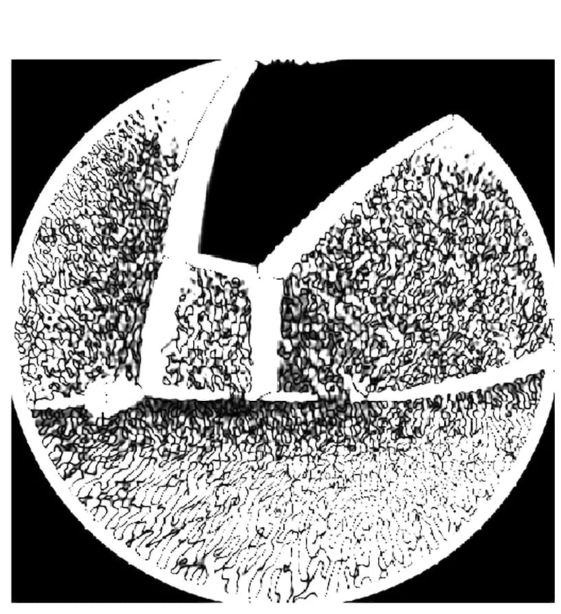 Open access visualization of Microscopy, Eye View, Wavelets, Information Content, Saccades