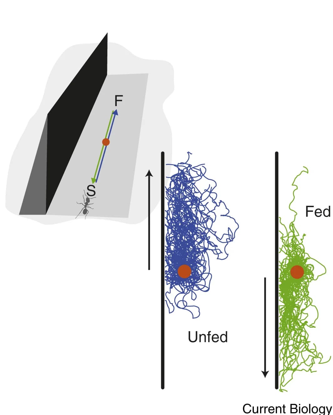 Open access visualization of Line Plot, Illustration, Ant, Motivational State, Food