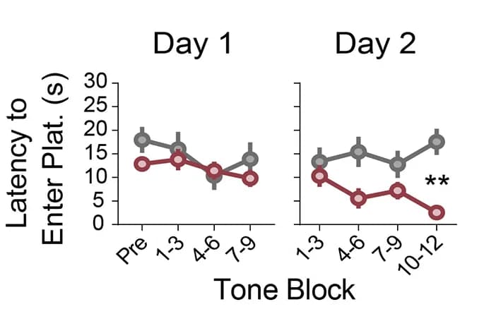 Open access visualization of Line Plot, Error Bars, Latency, Platform Entry, Tone Onset
