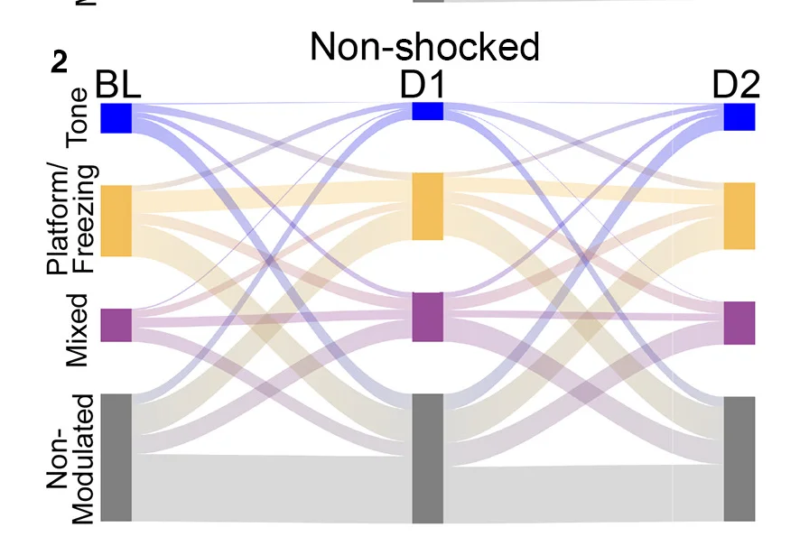 Open access visualization of Sankey, Sankey Plots, Functionally Defined Cells, Cell Identities, Chi-Square Test