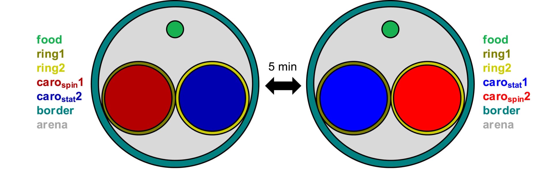 Open access visualization of Illustration, Experimental Setup, Regions of Interest, Carousels