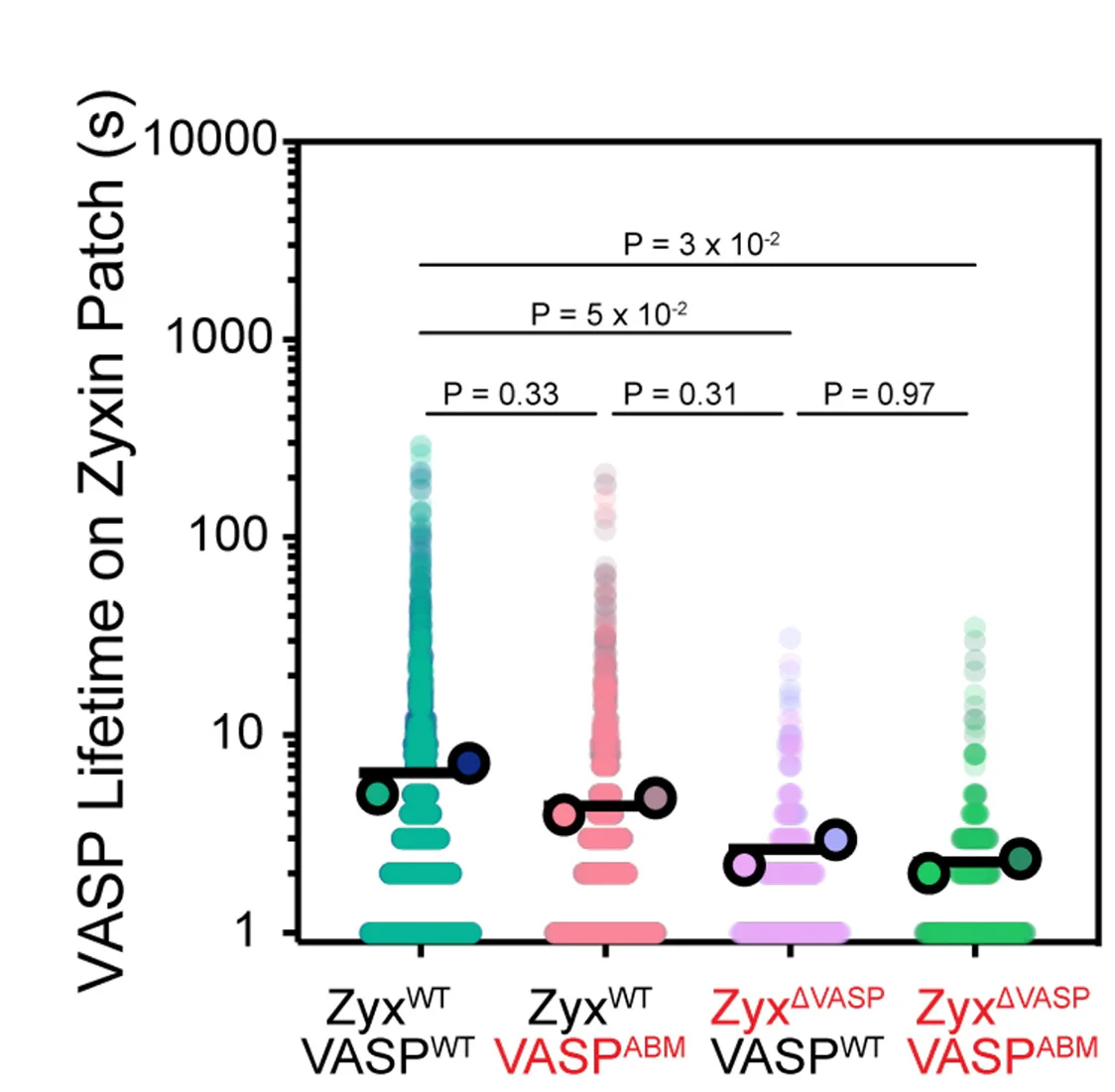Open access visualization of Scatter Plot, Error Bars, VASP Binding, Zyxin Patches, Lifetimes