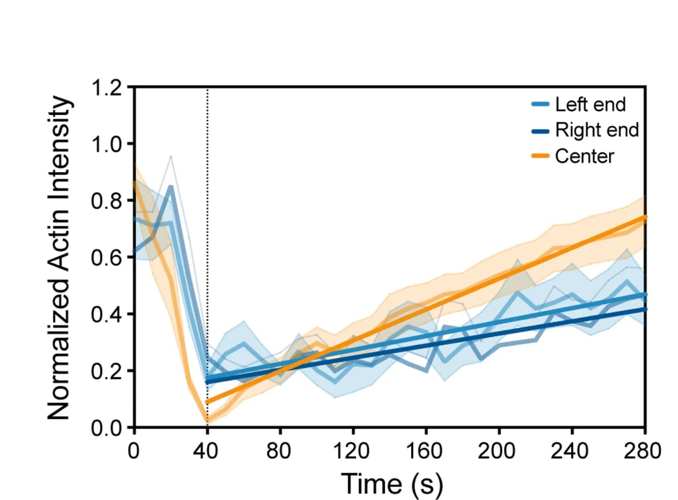 Open access visualization of Line Plot, Error Bars, Actin Recovery, SFSS, Quantification