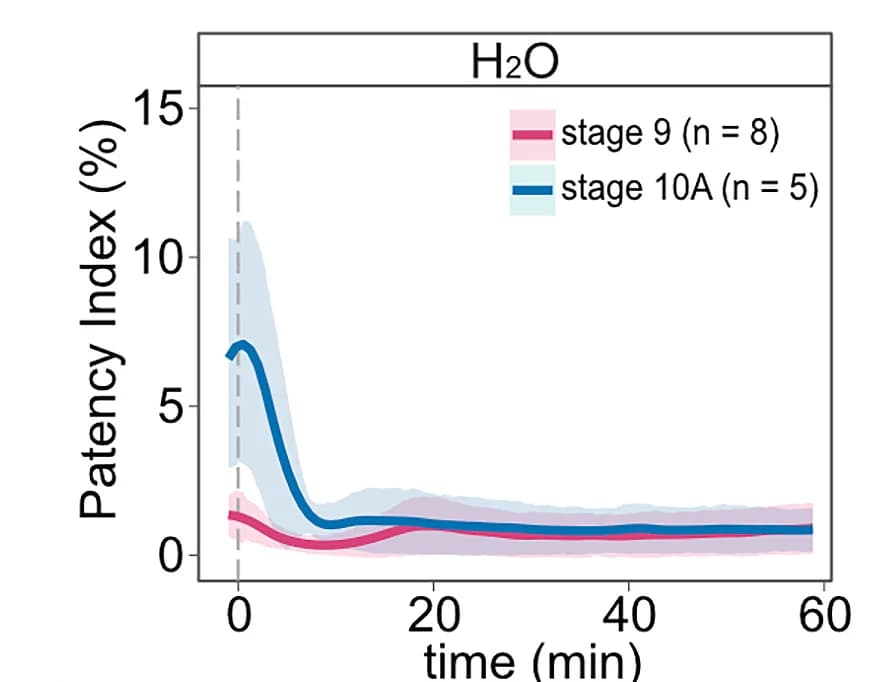 Open access visualization of Line Plot, Error Bars, Patency Index, Hypotonic Treatment, Follicles