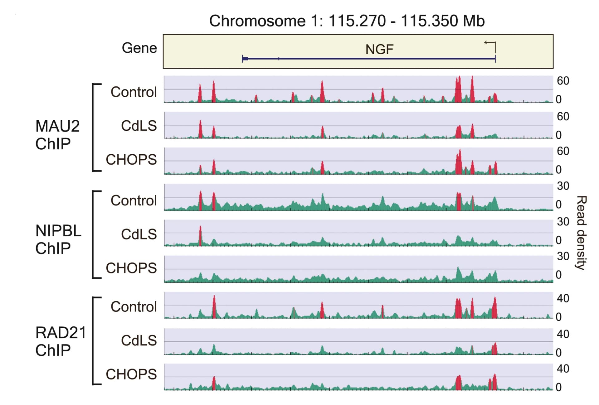 Open access visualization of Line Plot, ChIP-seq, Control Cells, Patient Cells, Protein-Coding Gene