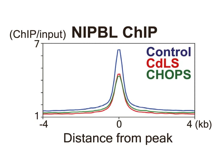 Open access visualization of Line Plot, NIPBL, ChIP-seq, NIPBL-MAU2 Peaks