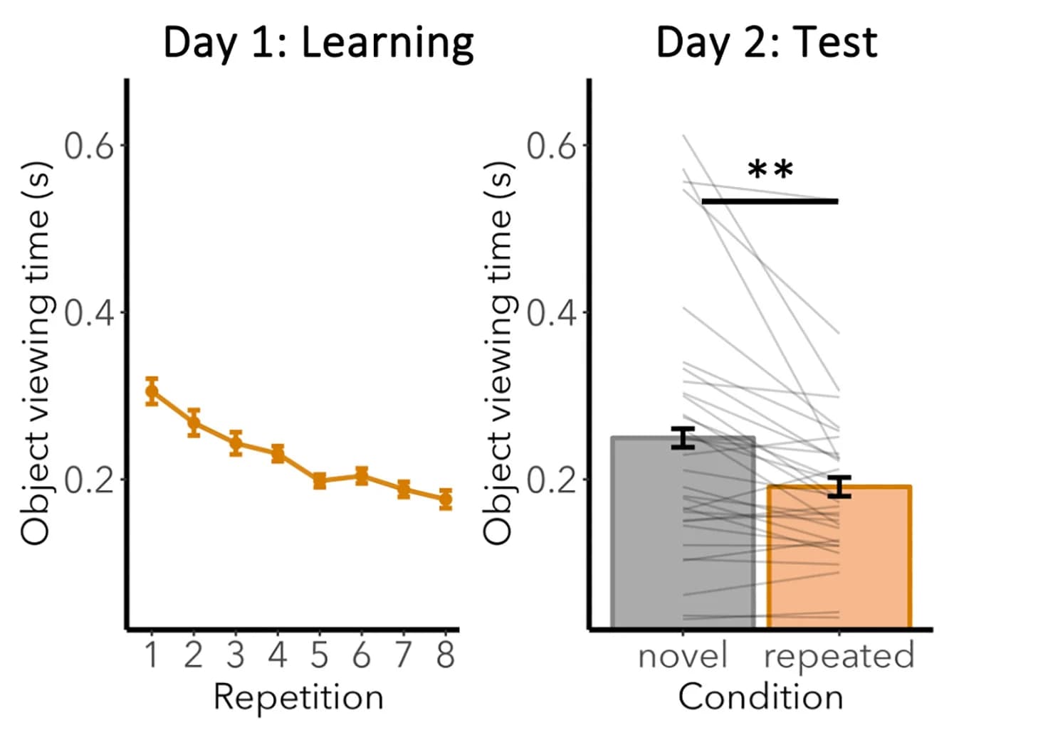 Open access visualization of Line Plot, Error Bars, Bar Plot, Sampling Duration, Object Viewing