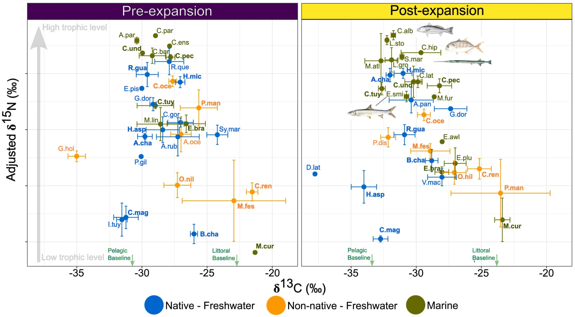 Open access visualization of Scatter Plot, Error Bars, Carbon Stable Isotope, Nitrogen Stable Isotope, Fish Communities