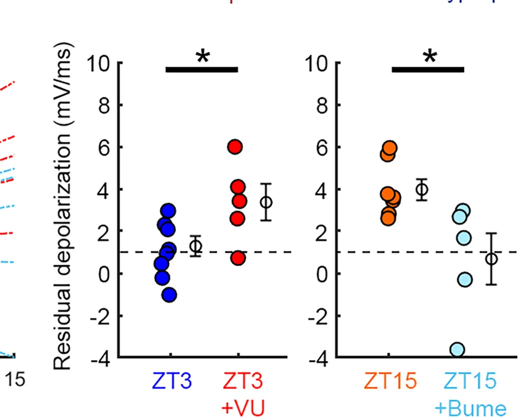 Open access visualization of Scatter Plot, Error Bars, VU, Residual Depolarization, ZT3