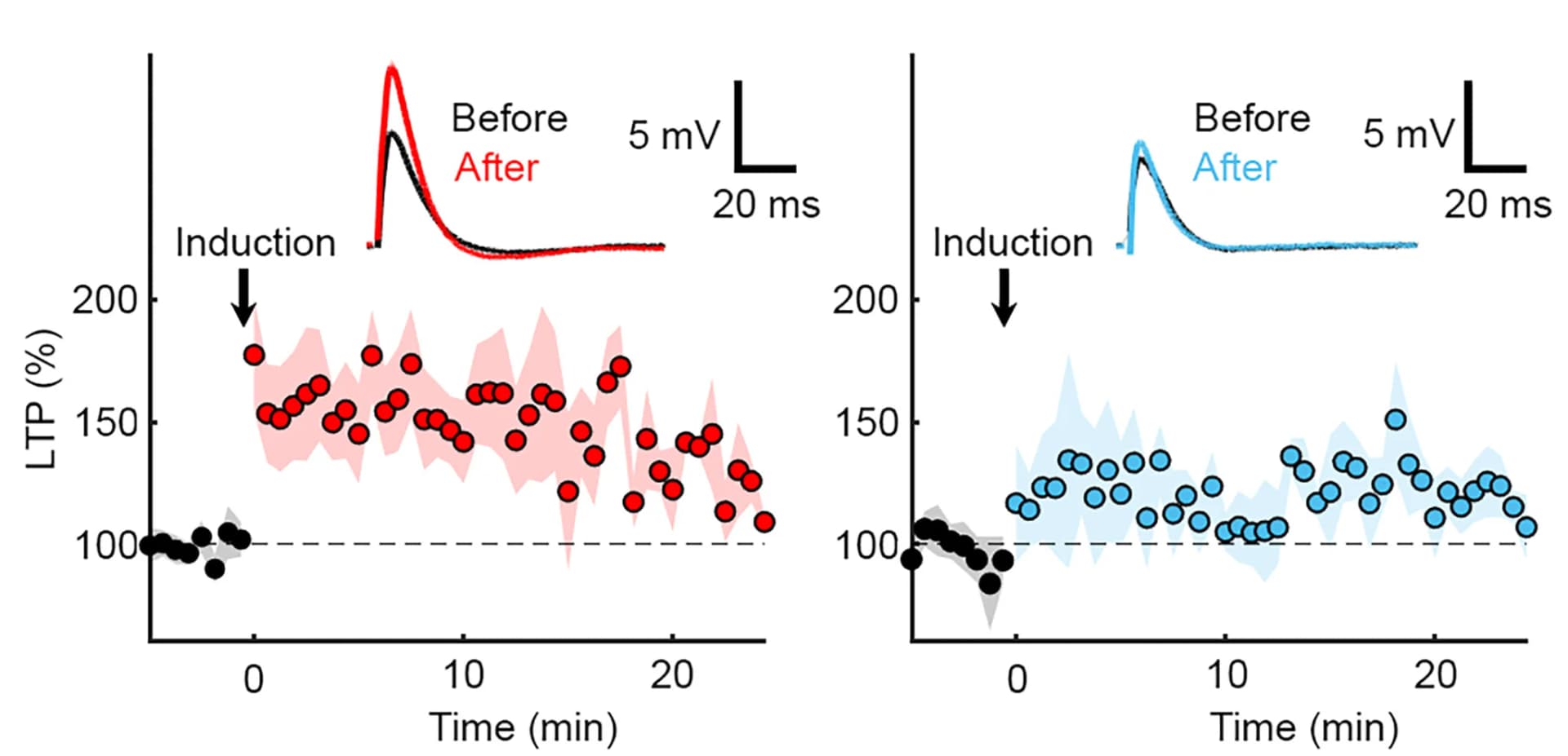 Open access visualization of Scatter Plot, Line Plot, Error Bars, Long-Term Potentiation, LTP