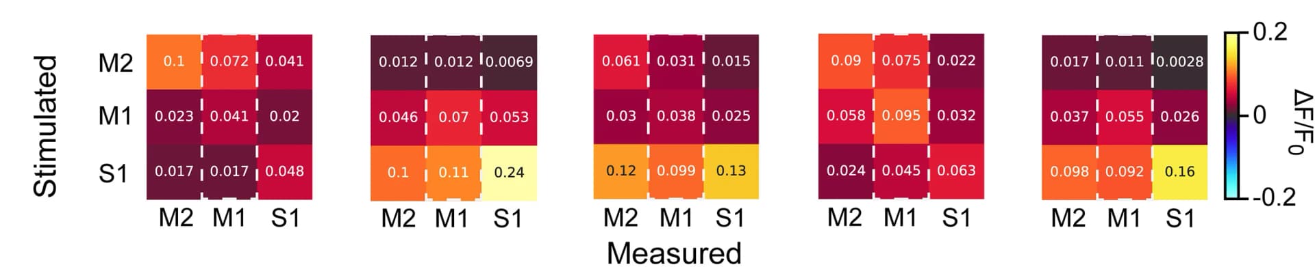 Open access visualization of Heatmap, Functional Connectivity, Optical Stimulation, Fluorescence