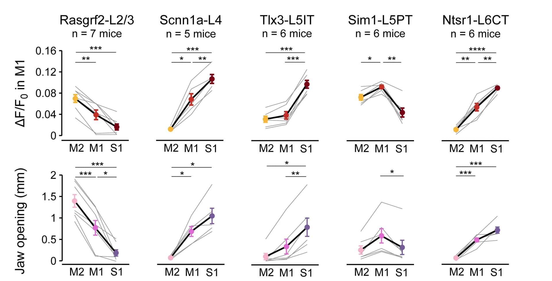 Open access visualization of Line Plot, Error Bars, Jaw Opening, Optical Stimulation, Mouse Data