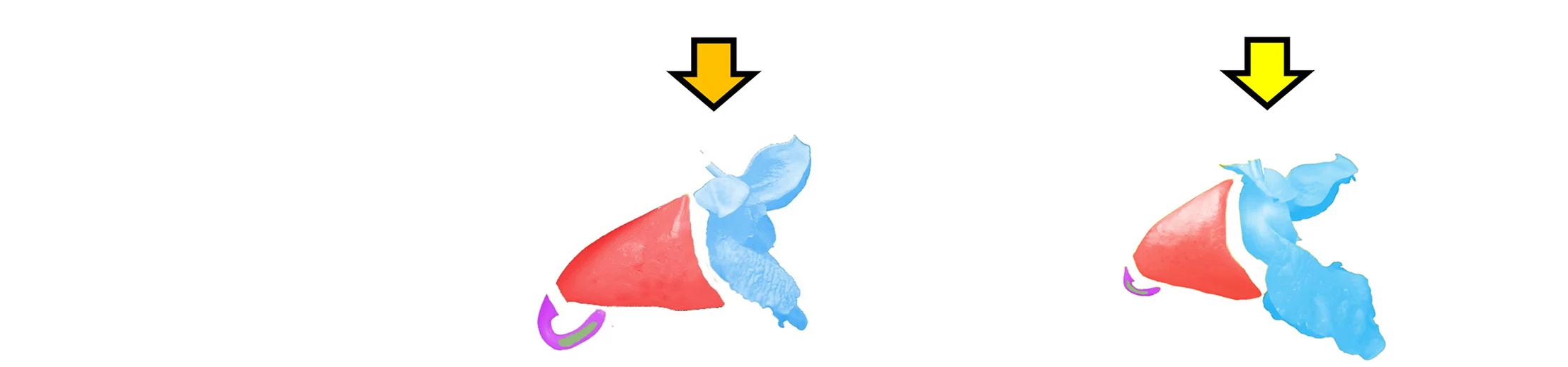 Open access visualization of 3D Plot, Chemosensory Roadmap, Bumblebee Pollinators, Illustrations