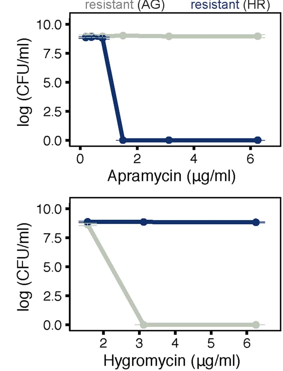 Open access visualization of Line Plot, Error Bars, Minimum Inhibitory Concentration, Apramycin, Hygromycin