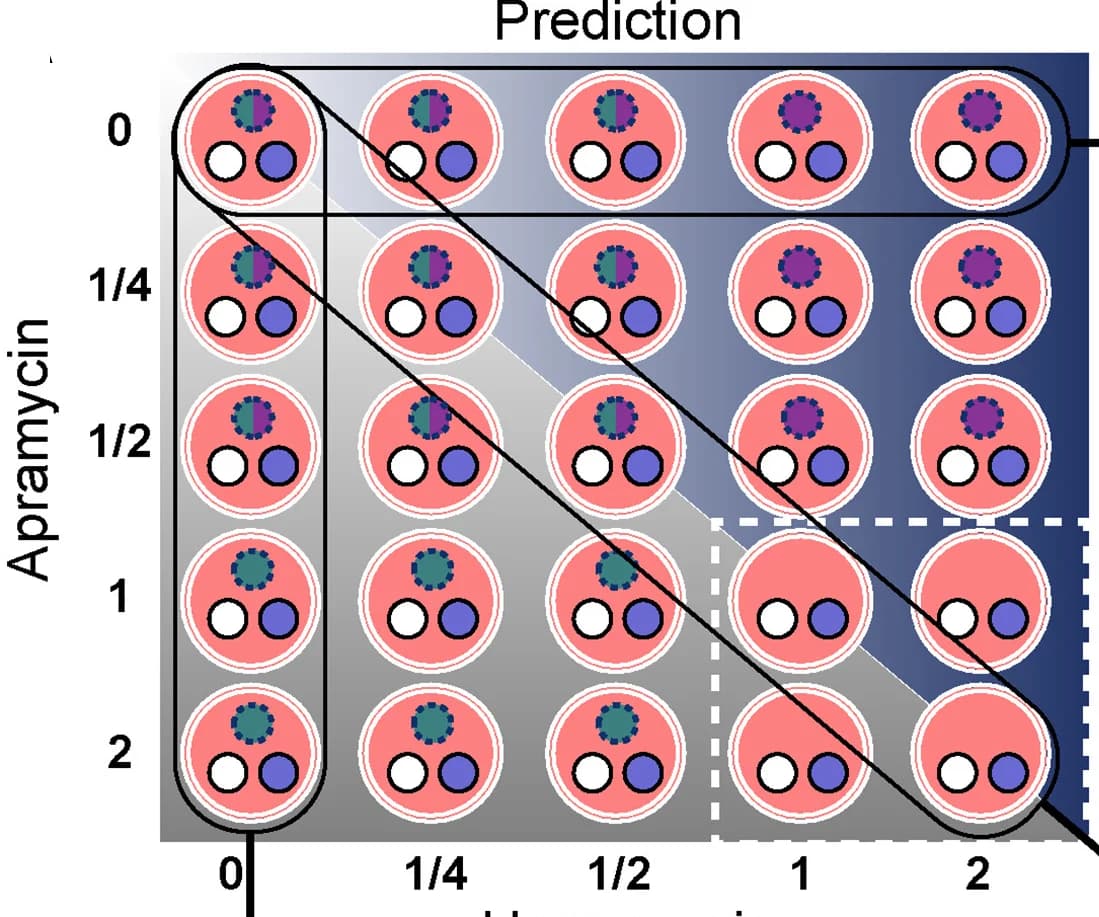 Open access visualization of Illustration, Experimental Setup, Plates, Apramycin, Hygromycin
