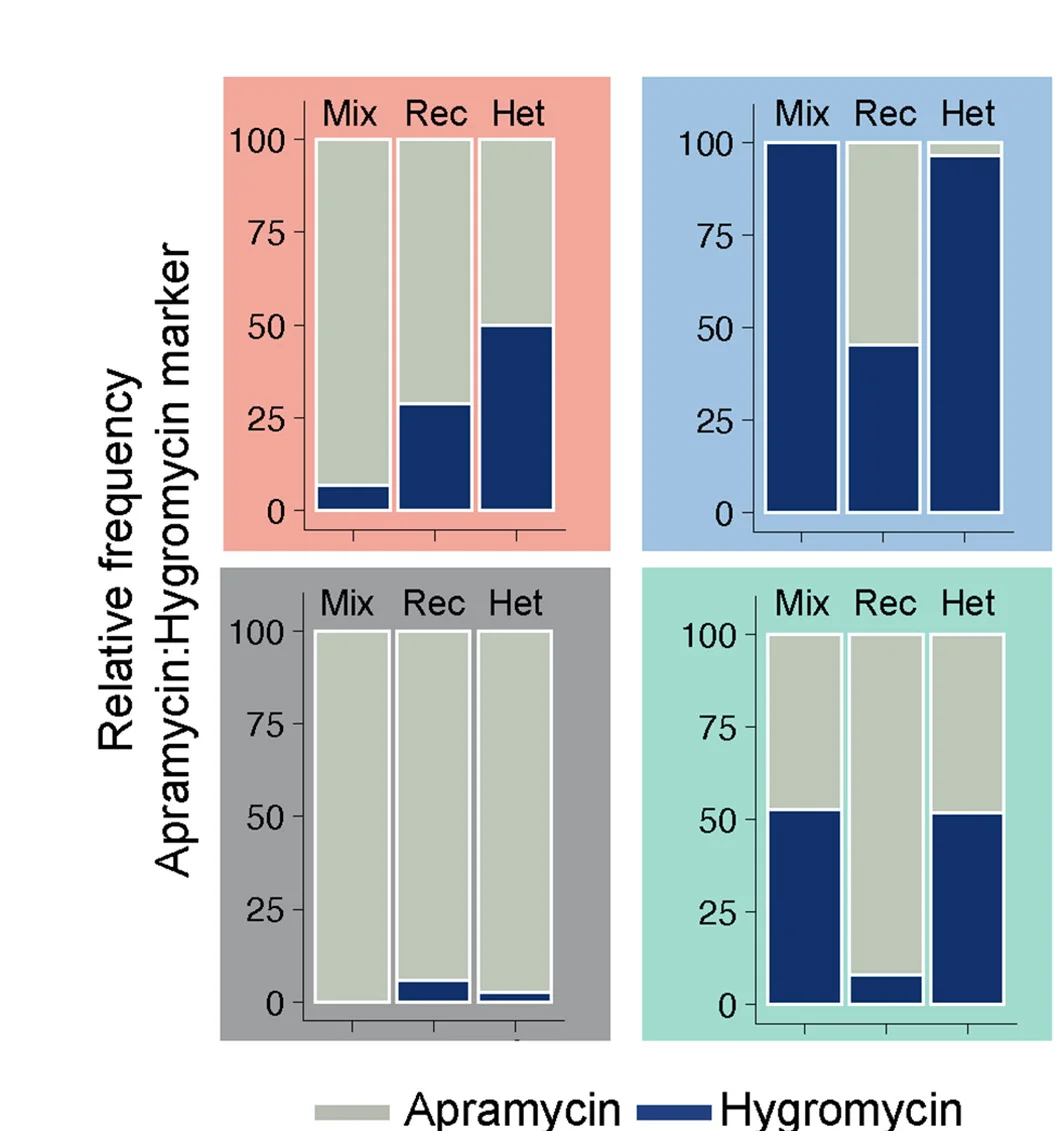 Open access visualization of Clustered, Bar Plot, Marker Proportions, Antibiotic Concentrations, Antibiotic Resistance Genes