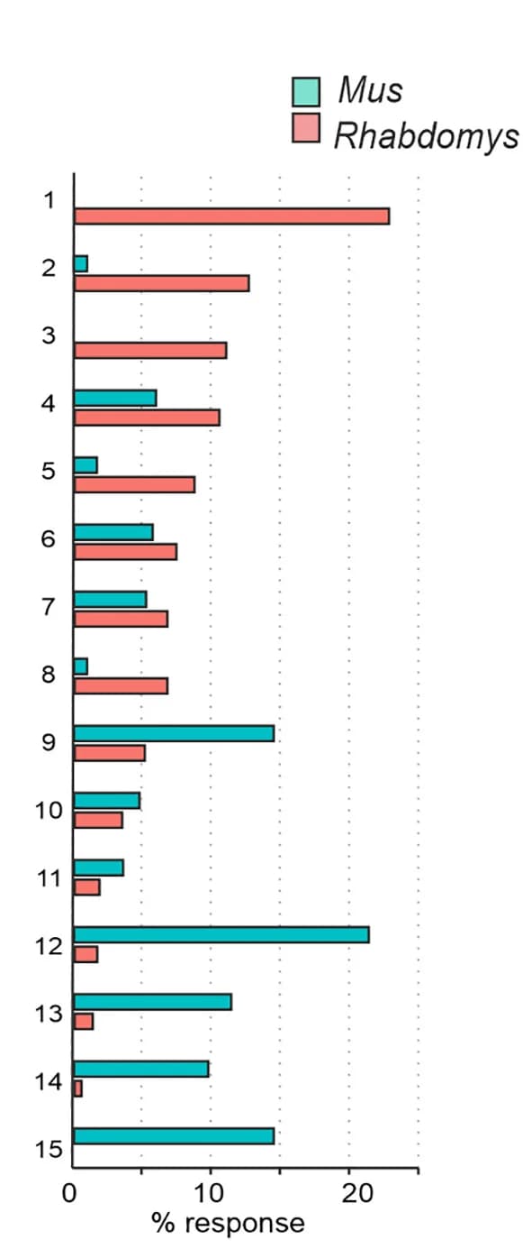 Open access visualization of Bar Plot, Clustered, Bar Graphs, Proportion of Responses, Response Cluster