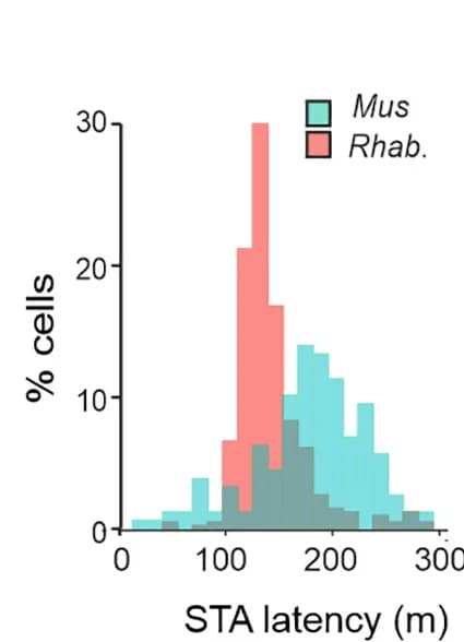 Open access visualization of Histogram, Receptive Field Latency, Kolmogorov-Smirnov Test