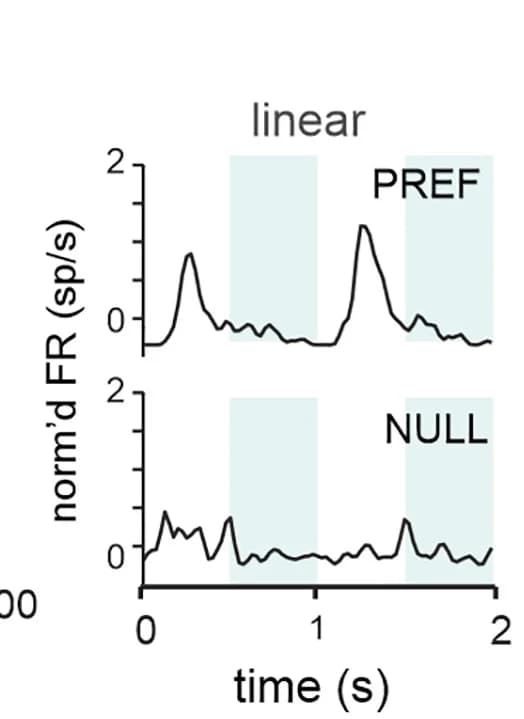 Open access visualization of Line Plot, Linear Neurons, Preferred Phase, Null Phase, Grating Inversions