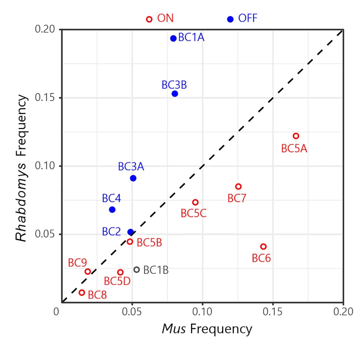 Open access visualization of Scatter Plot, Scatterplot, Cone BCs, ON Cone BCs, OFF Cone BCs