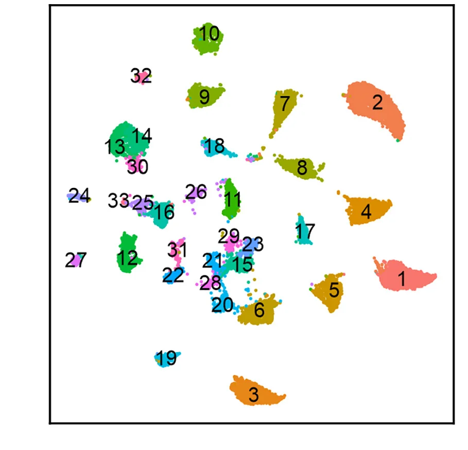 Open access visualization of Scatter Plot, UMAP, PCA, Rhabdomys RGCs, Cell Clustering