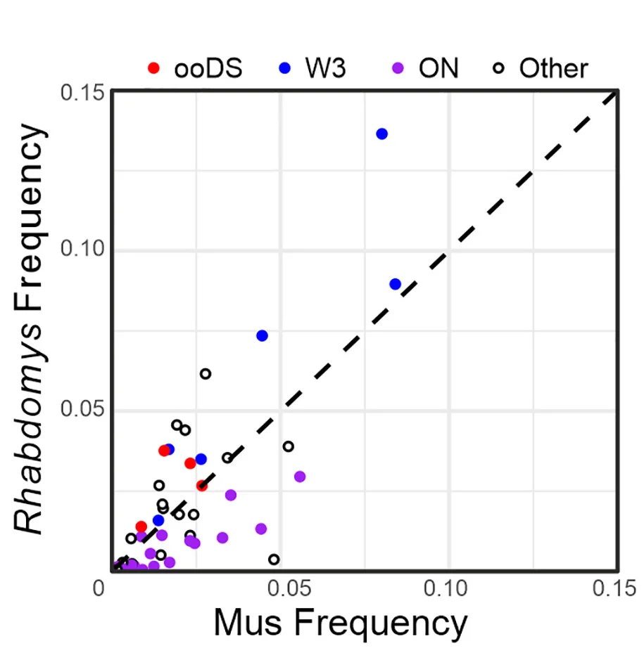 Open access visualization of Scatter Plot, Scatterplot, Relative Frequency, RGC Types, Rhabdomys