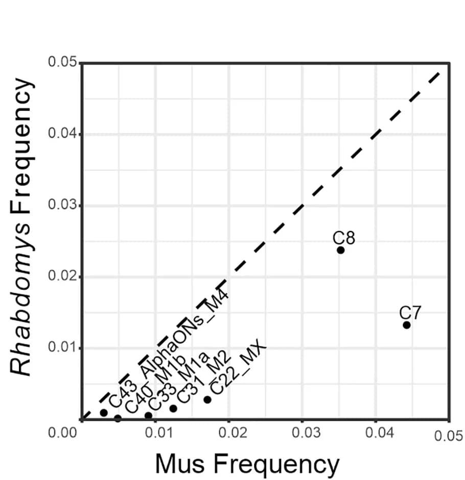 Open access visualization of Scatter Plot, Regression Plot, Scatterplot, Frequency, ipRGC Types