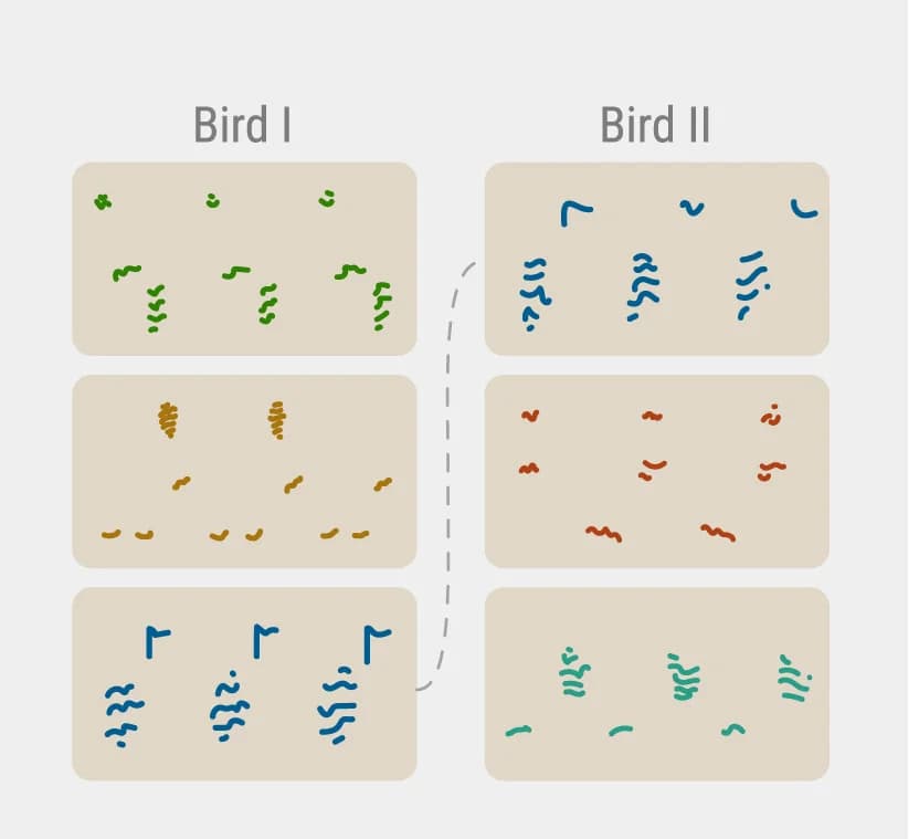 Open access visualization of Illustration, Bird, Repertoire, Song, Spectrogram