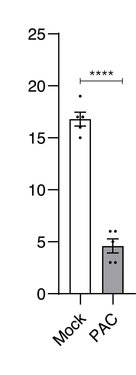 Open access visualization of Bar Plot, Error Bars, Leaves, Bud Set, LT