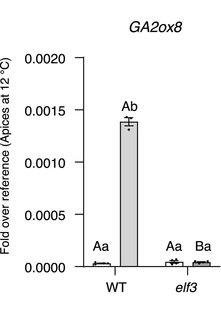 Open access visualization of Bar Plot, Error Bars, GA2ox8, NCED3, BRC1
