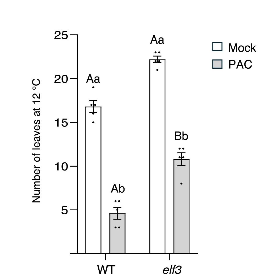 Open access visualization of Bar Plot, Error Bars, Clustered, Leaves, Bud Set