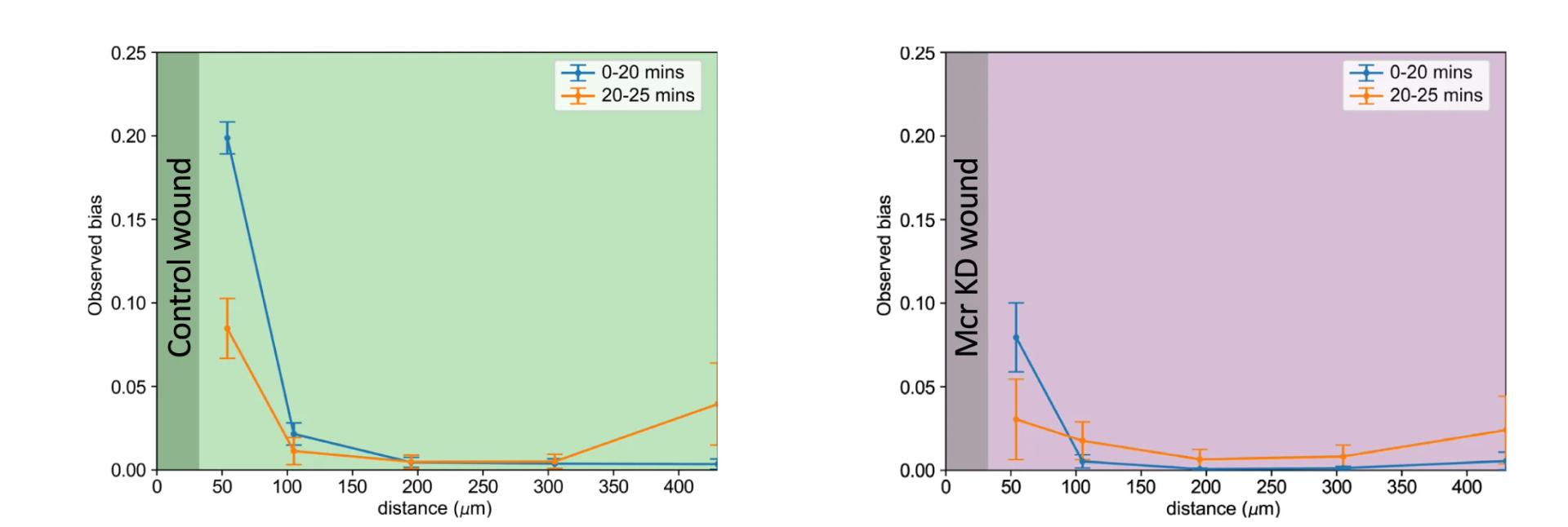 Open access visualization of Line Plot, Error Bars, Cell Tracking, Wound Healing, Control Samples