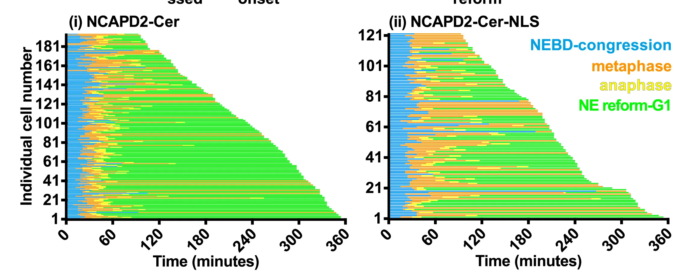 Open access visualization of Stacked Bar Plot, Mitotic Progress, NCAPD2-Cer, NCAPD2-Cer-NLS, Parental Cells