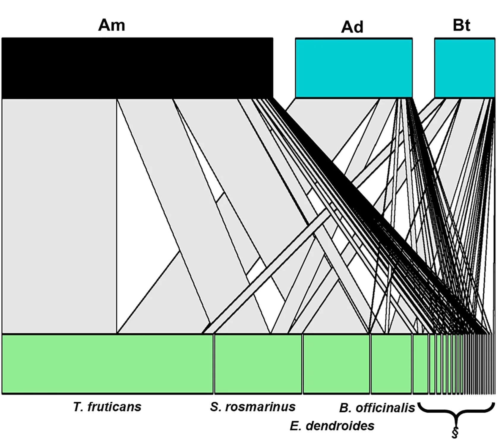 Open access visualization of Sankey, Flower Visitation Networks, Pollinators, Plants, Interaction Strength