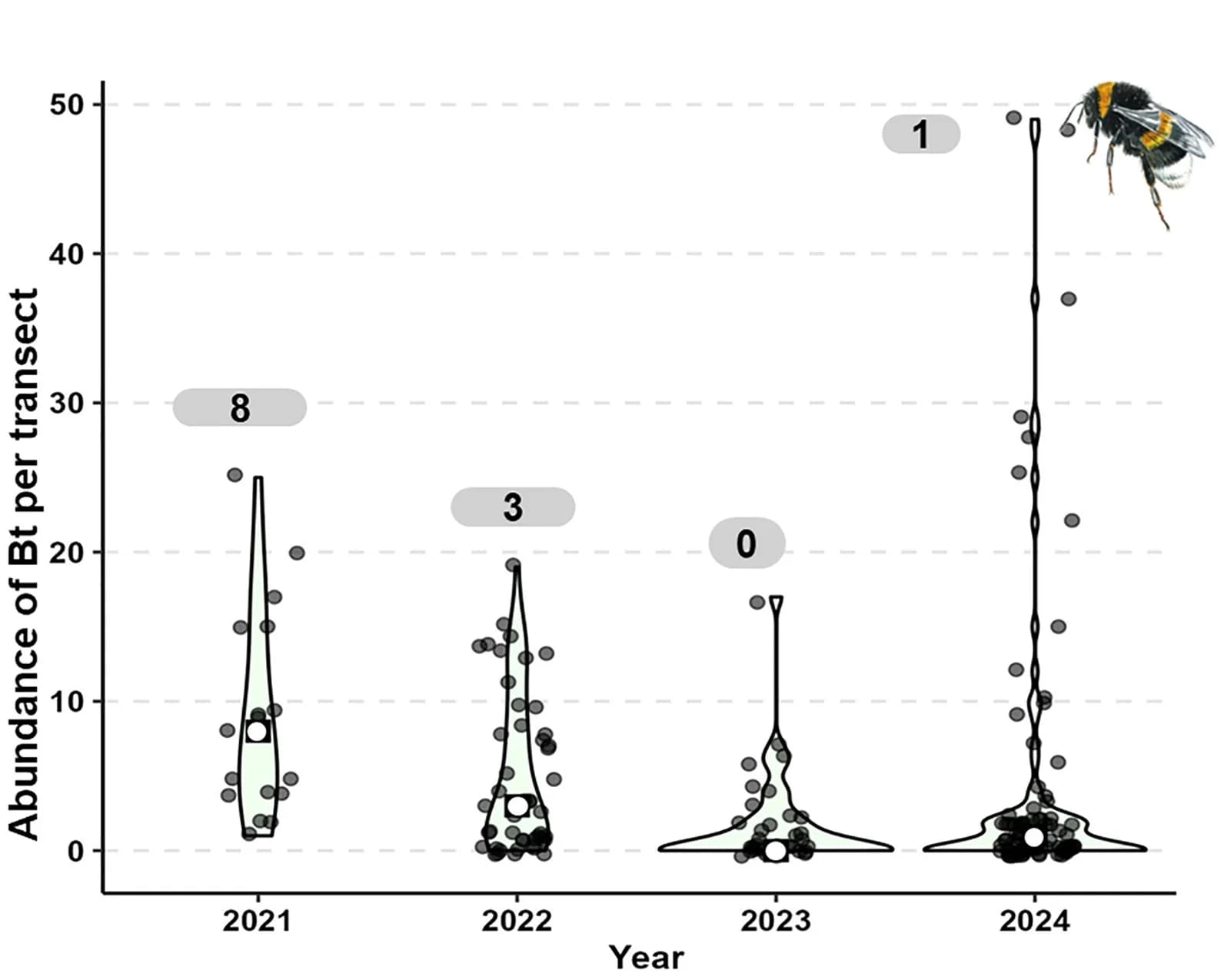 Open access visualization of Violin Plot, Scatter Plot, Bombus Terrestris, Transect Counts