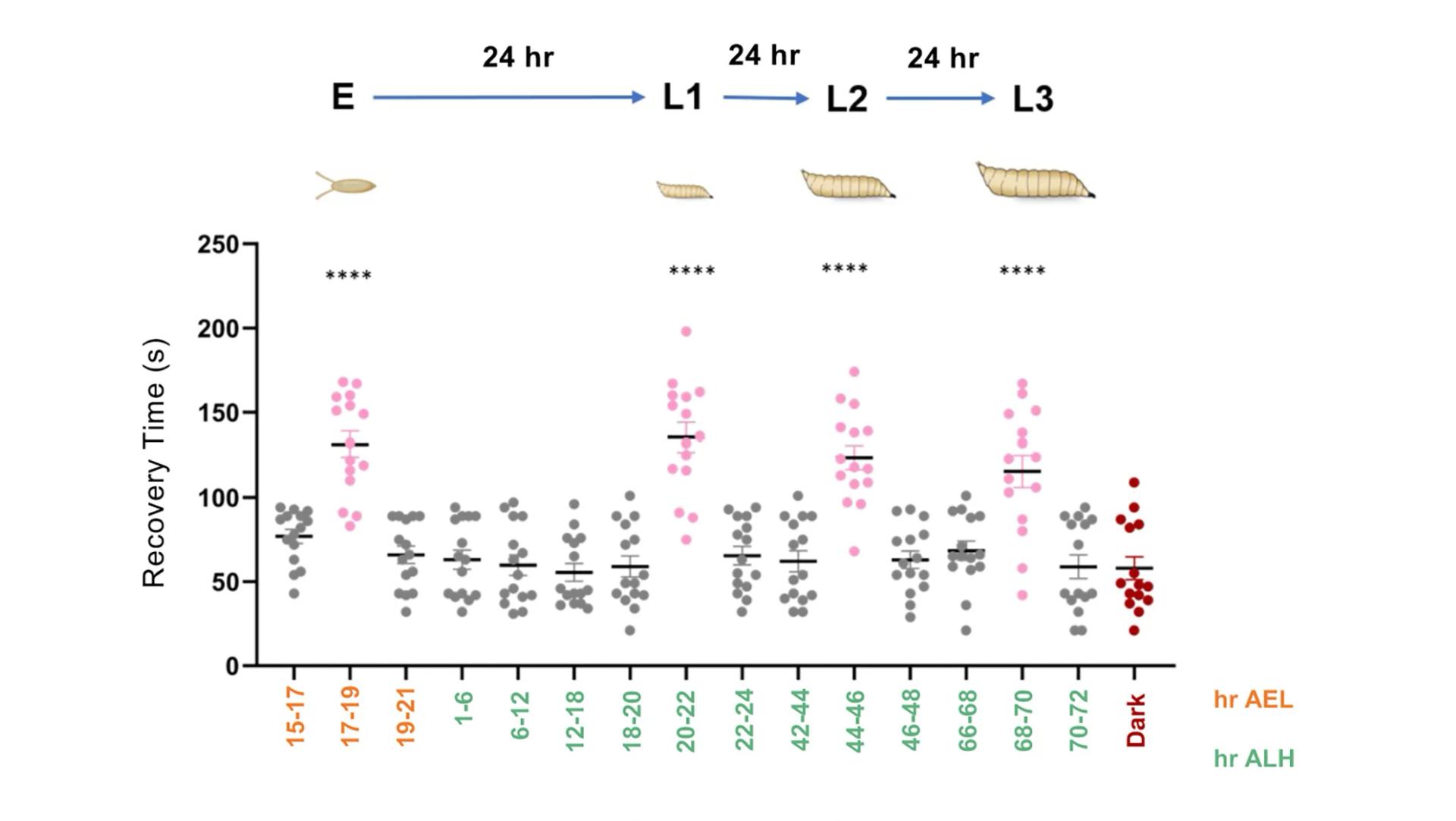 Open access visualization of Scatter Plot, Error Bars, Seizure Phenotypes, BL Exposure, CS Embryos