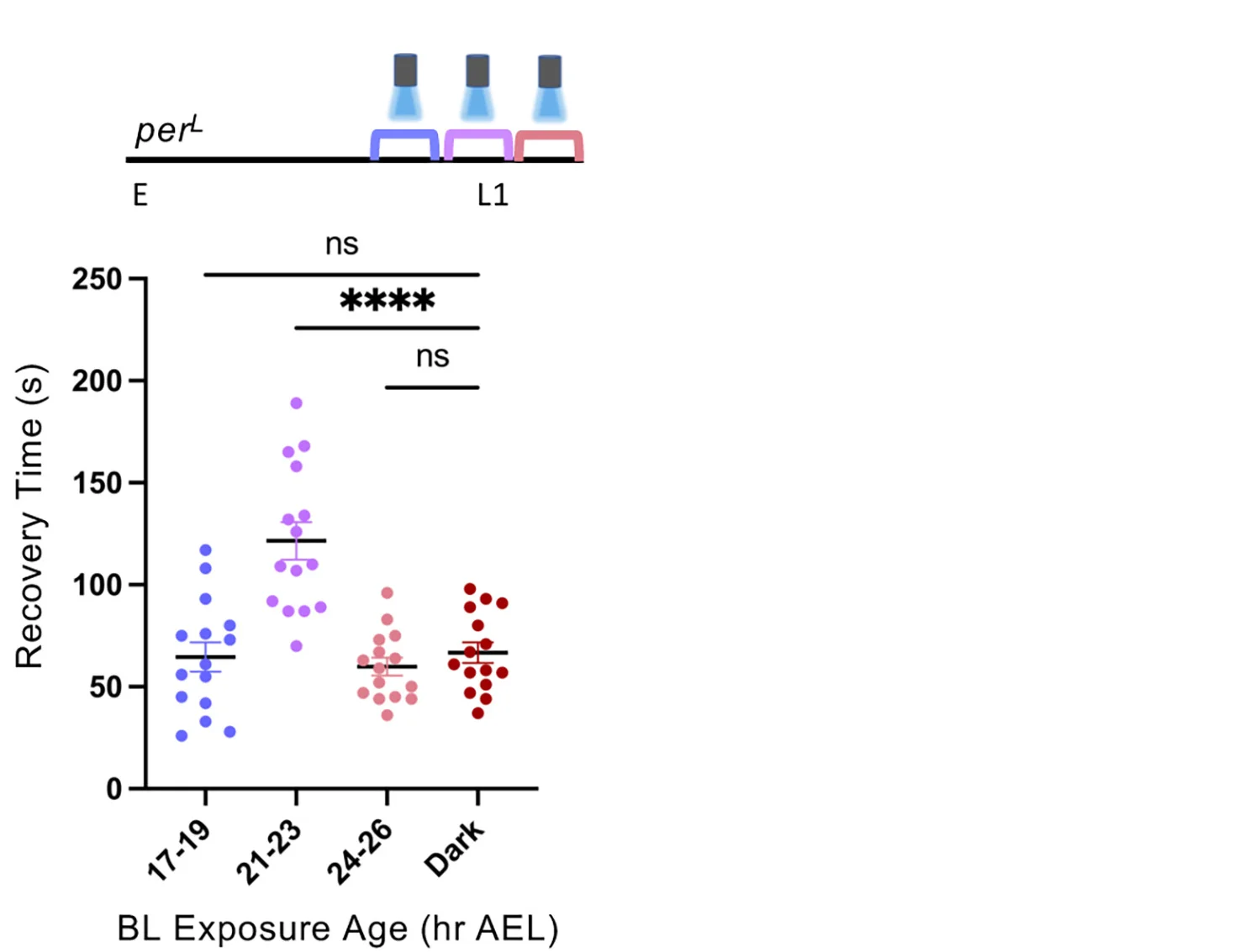 Open access visualization of Scatter Plot, perL Embryos, Blue Light, Dark-Reared Controls