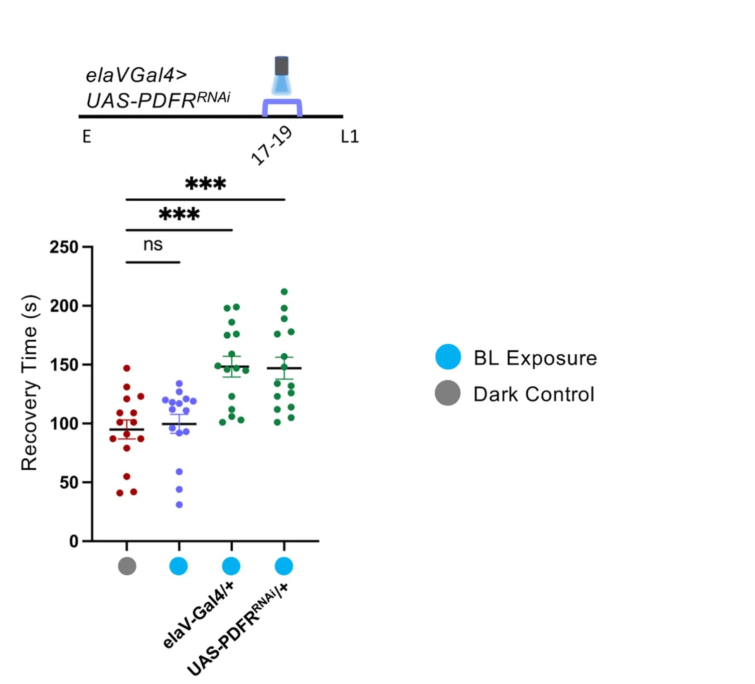 Open access visualization of Scatter Plot, Error Bars, Pan-neuronal PDFR Knockdown, Seizure RT, Parental Controls