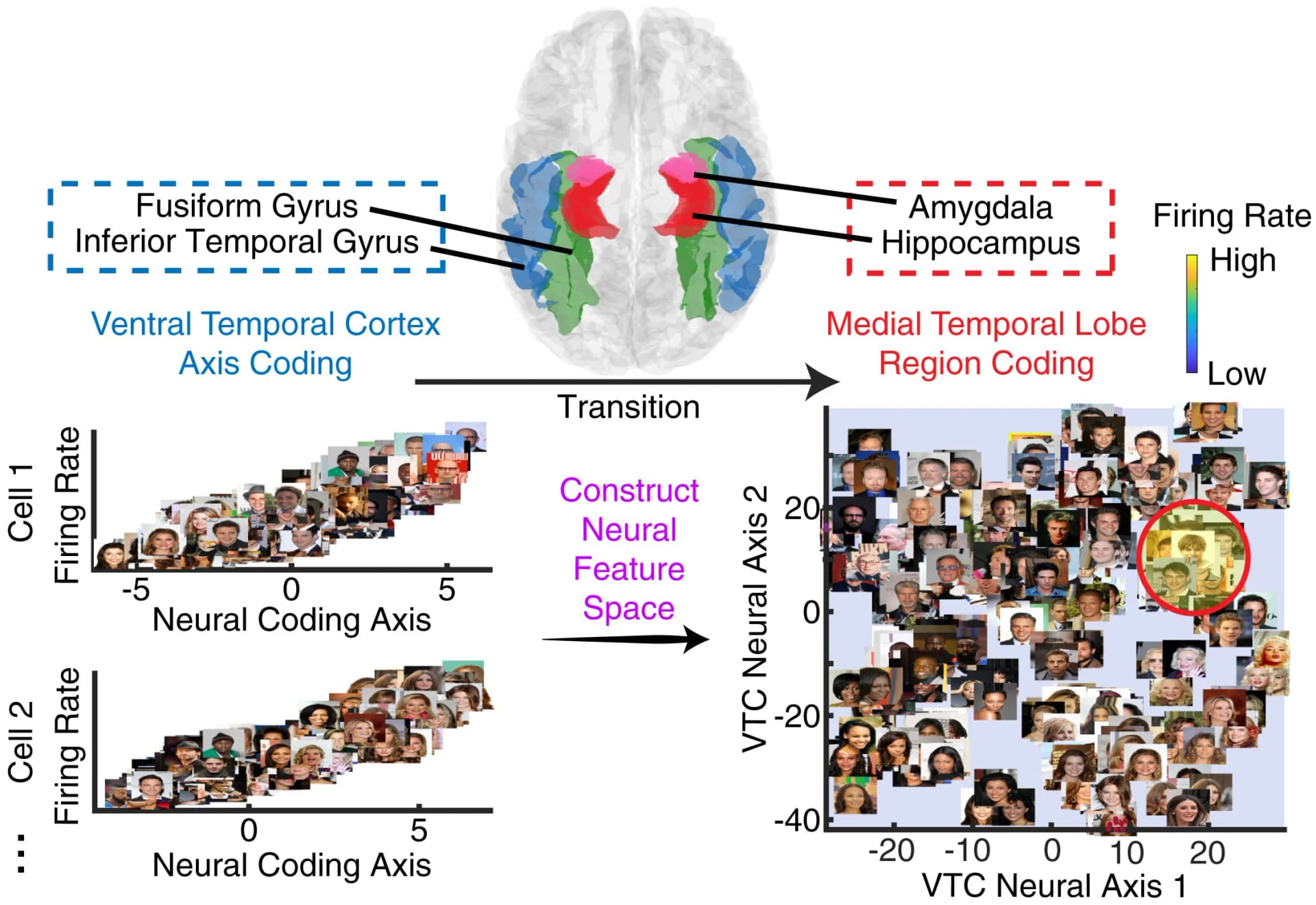 Open access visualization of Scatter Plot, Line Plot, Neurons, iEEG Channels, Visual Features